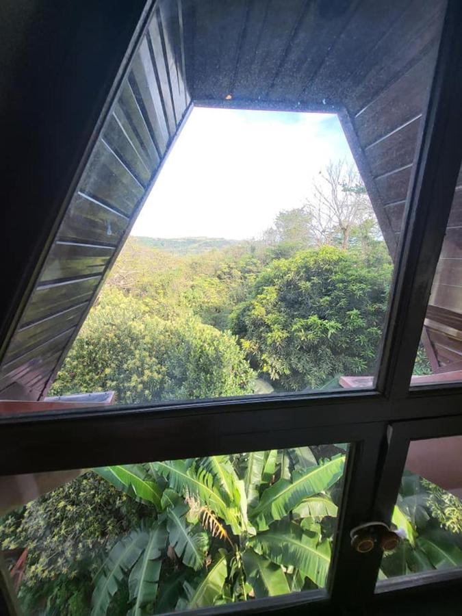 Angono El Castillo Bed And Breakfast מראה חיצוני תמונה